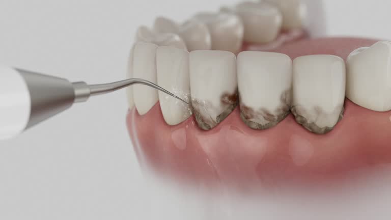 Reliable Dental contractor in Stearns, KY by Dentist Open Now